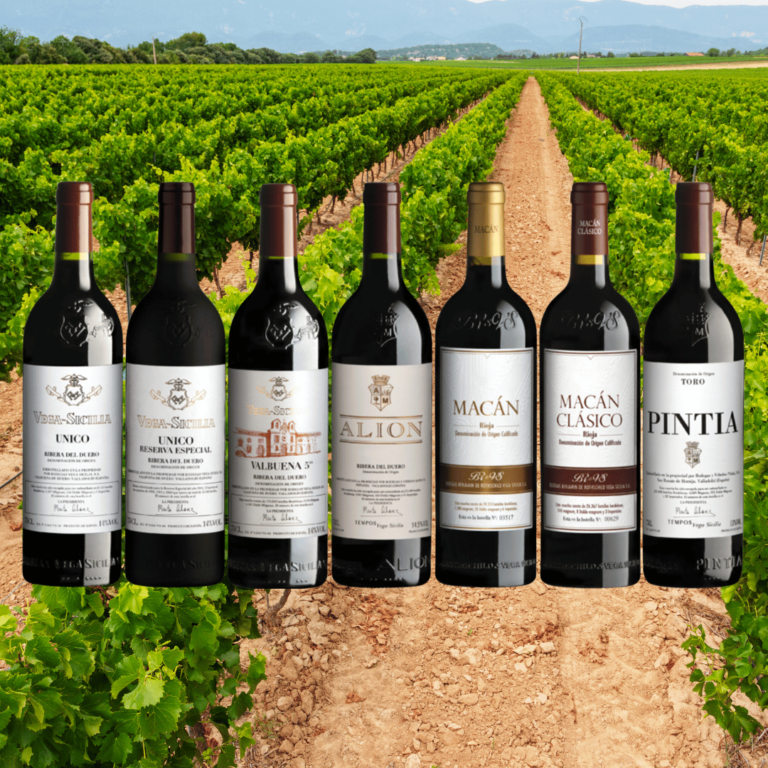 Vega Sicilia Wines
