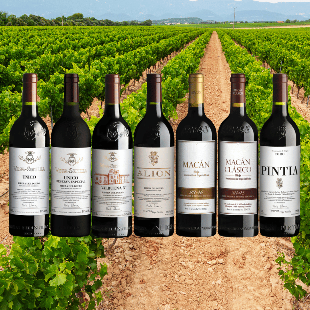 Vega Sicilia Wines